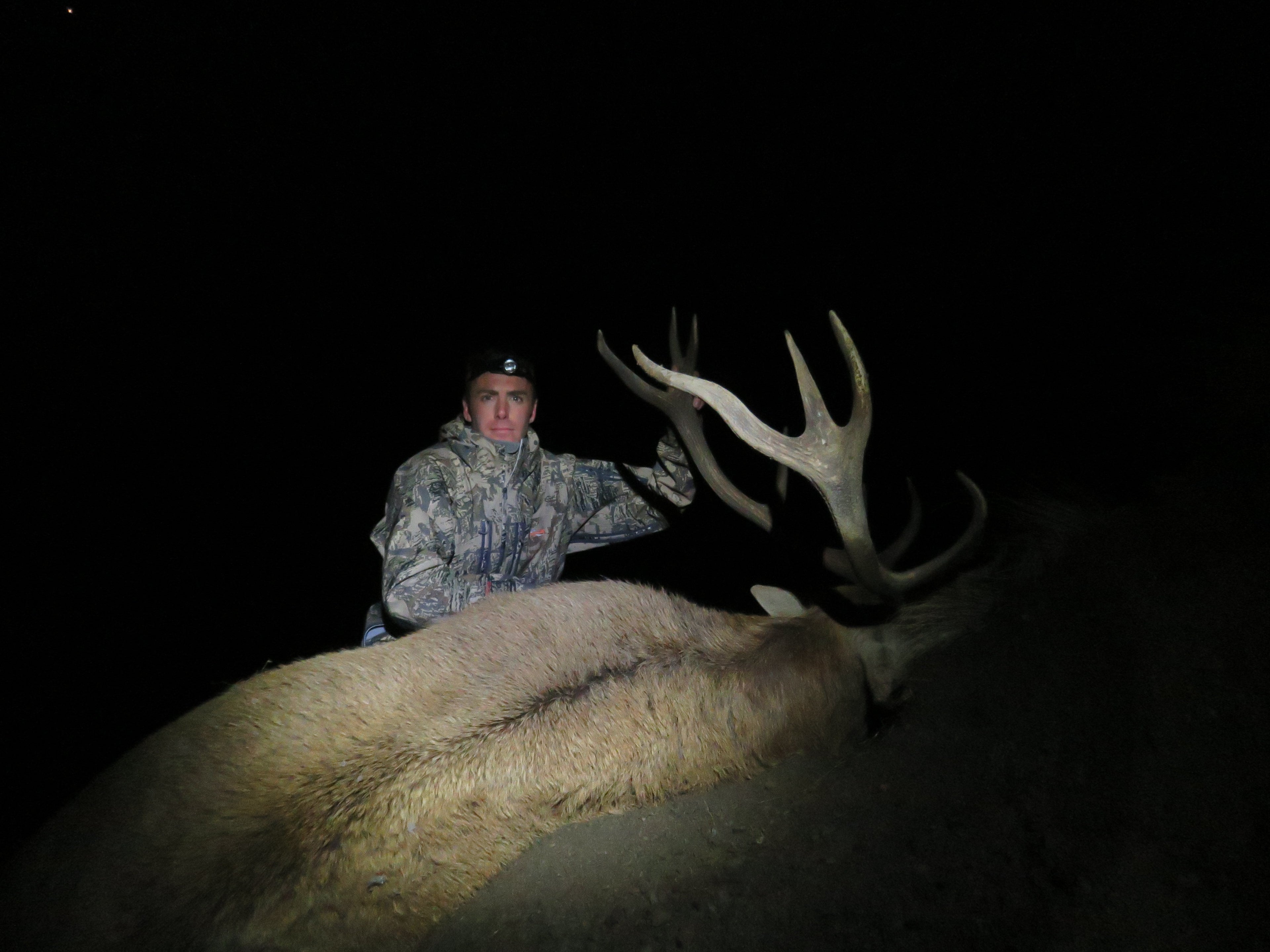 Red Stag Roar And Wapiti Ballot