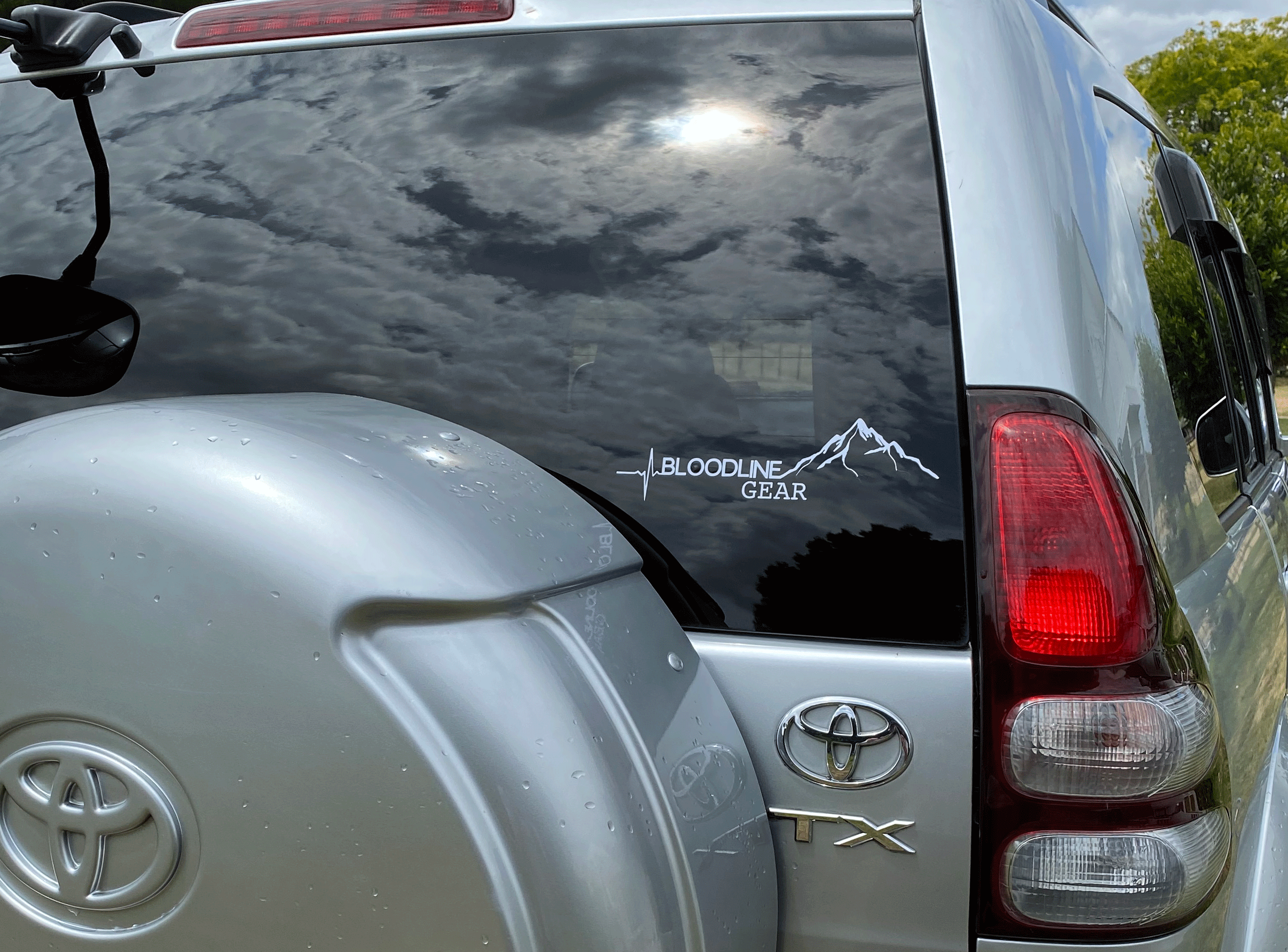 Show mint decal on a rear windscreen